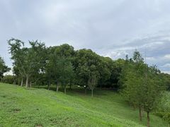 -苏州湾体育公园