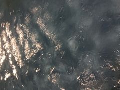 -中家鑫园温泉酒店鑫悦汤泉