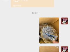 -东方鼎信农副产品交易中心