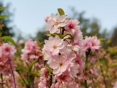 -白塘生态植物园