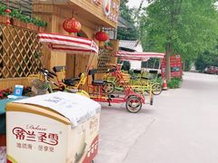 -罗家巷子休闲庄自助碳烤