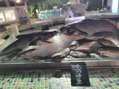 -渔家火锅·海鲜自助餐·演艺(亚龙湾天域酒店)