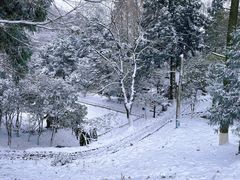 -莫干山风景区