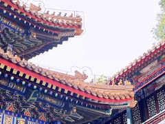 -颐和园