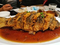 老济南糖醋鲤鱼-金春禧(世茂国际广场店)
