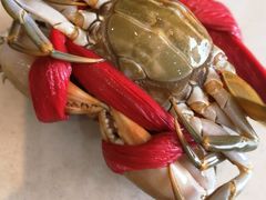 -宏佳丰味蟹馆(洛溪店)