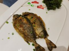 -大东海海鲜酒楼(渔人码头总店)