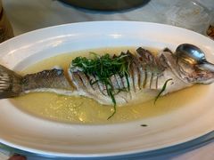 -同庆楼(花园店)