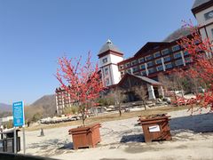 -青峰峡国家森林公园