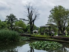 -八大山人梅湖景区