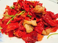 西尔丹辣椒炒肉-巴依老爷新疆美食(魏公村店)