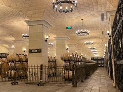 -北京张裕爱斐堡酒庄