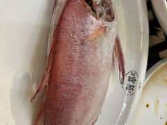 -吴记富苑(朝阳店)