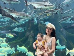 -哈尔滨波塞冬海底世界