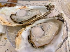 爱尔兰生蚝-白仁仔· 活烤海鲜 宵夜(豫园店)