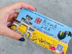 -悦城龙母祖庙