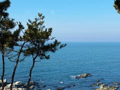 -养马岛旅游度假区