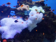 -多彩贵州城极地海洋世界