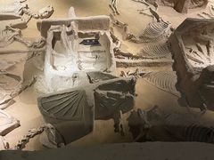 -洛阳周王城天子驾六博物馆