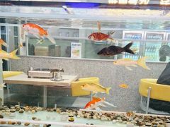 -令狐冲烤鱼·烧菜馆(达明店)