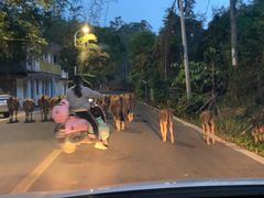 -一嗨租车(凤凰机场店)