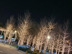 -比格比萨自助(宋家庄店)