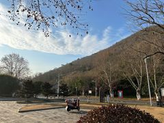 -铜陵市铜官山森林公园