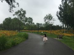 -东郊湿地公园
