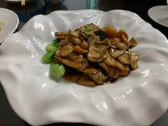 黑蒜烧真菌-鸿运楼烤鸭店(天桥店)