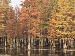 -白鹭湾湿地公园