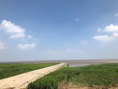 -南汇嘴观海公园