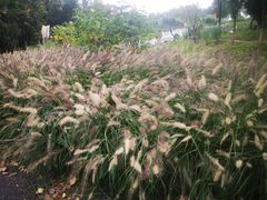 -呼吸森林·生态农庄农家乐私房菜