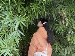 -苏家巷36号公馆