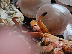 -芭提雅Amporn Seafood自助餐厅