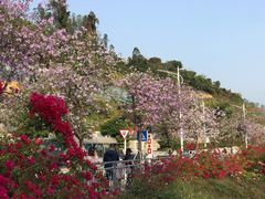 -小南山公园