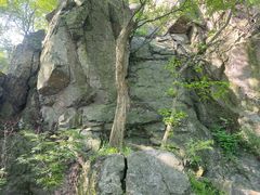 -紫金山山顶公园