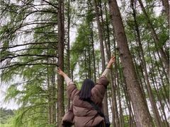 -硗碛藏寨·神木垒景区