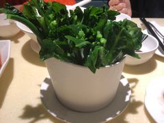 -龙记烧腊茶餐厅(常德路店)