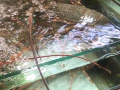 -班赞海鲜市场