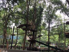 -WeLope紫金山探险公园