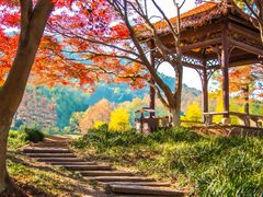 -九曜山