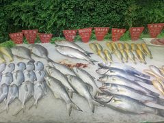 -宝燕海鲜(好爱店)