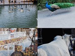 -J Create城市露营咖啡·简餐·宠物(上海动物园店)