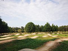 -乐行自行车运动乐园