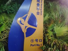 -演武大桥观景平台