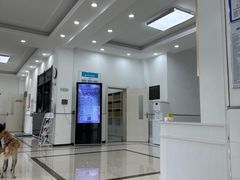 -派美特宠物医院·核磁CT·骨科肿瘤·疑难转诊(沈农禾丰店)