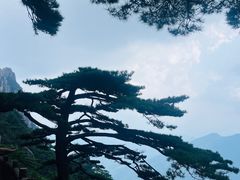 -黄山风景区