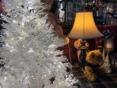 -咖法森林·咖啡  酒吧(天河店)