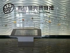 -青岛贝壳博物馆