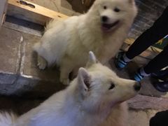 -大冰的小屋